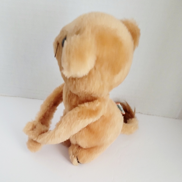 📌NA - Picture 9 of 12